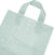 Frosted Mint Plastic Bags with Handles