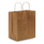 Brown Paper Bags with Handles
