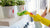 Make Spring Cleaning Easy With These Bags