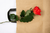7 Creative Ways to Use Paper Gift Bags with Handles