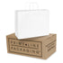 16x6x12 Large White Paper Bags with Handles Bulk Carton