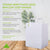 12x10x16 Solid White Plastic Bags with Handles