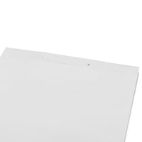 16x6x12 Large White Paper Bags with Ribbon Handles