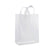 250 Pack 10x5x13 Medium Frosted White Plastic Bags with Handles Bulk Carton