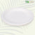 Bagasse Plates