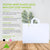 16x6x12 Large Frosted White Plastic Bags with Handles Bulk Carton