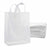 10x5x13 Medium Frosted White Plastic Bags with Handles