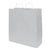 White Colored Paper Bags