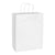 White Colored Paper Bags