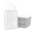 White Colored Paper Bags