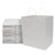 White Colored Paper Bags