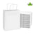White Colored Paper Bags