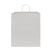 White Colored Paper Bags