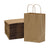 Brown Paper Bags with Handles